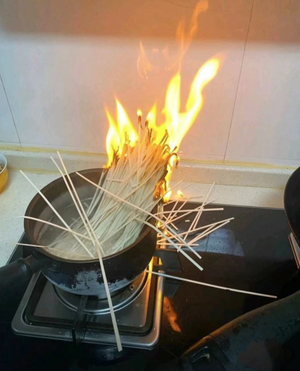 喜欢的网图